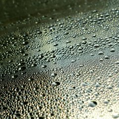 moisture damage underneath a mobile home crawlspace